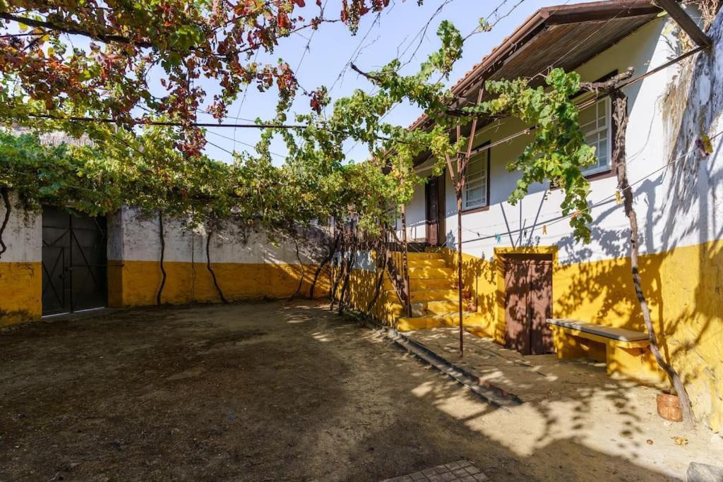 Quinta De Villa Franca - Douro Peso da Régua Εξωτερικό φωτογραφία