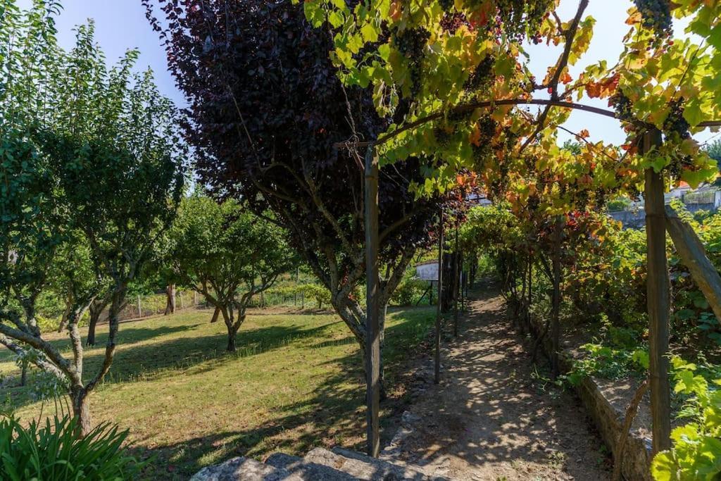 Quinta De Villa Franca - Douro Peso da Régua Εξωτερικό φωτογραφία