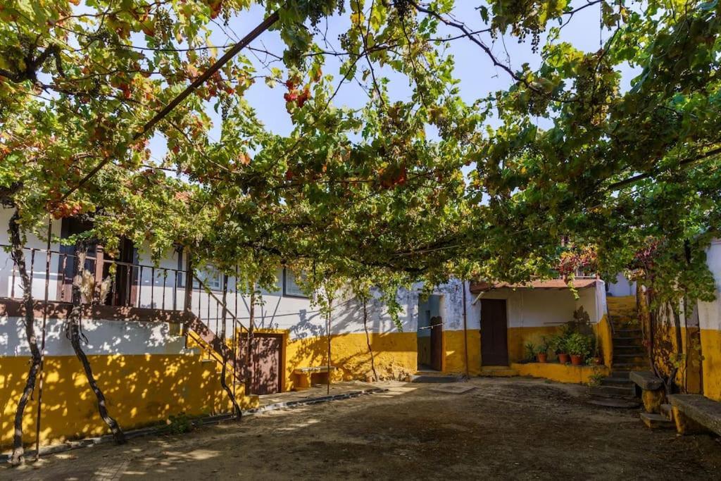 Quinta De Villa Franca - Douro Peso da Régua Εξωτερικό φωτογραφία